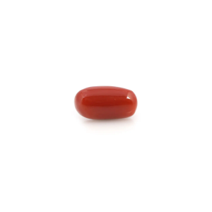 Red Coral - Moonga Gemstone
